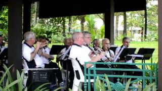 Royal Australian Navy Veterans Band